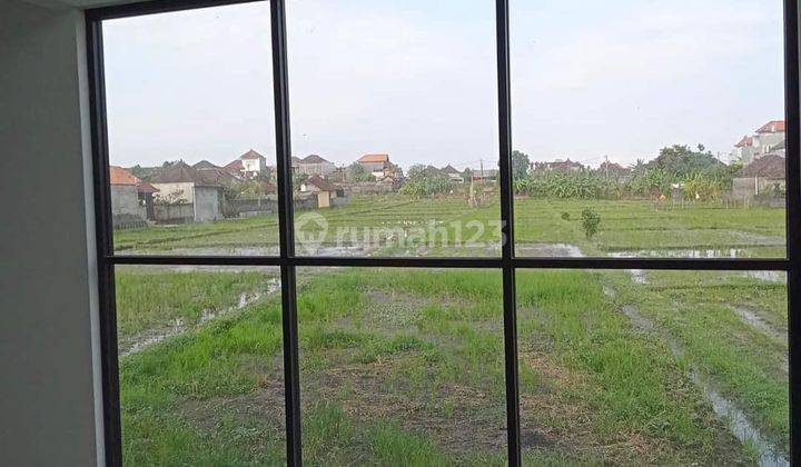 Rumah minimalis modern view sawah subak Paguyangan Kangin Denpasar Bali Indonesia  2