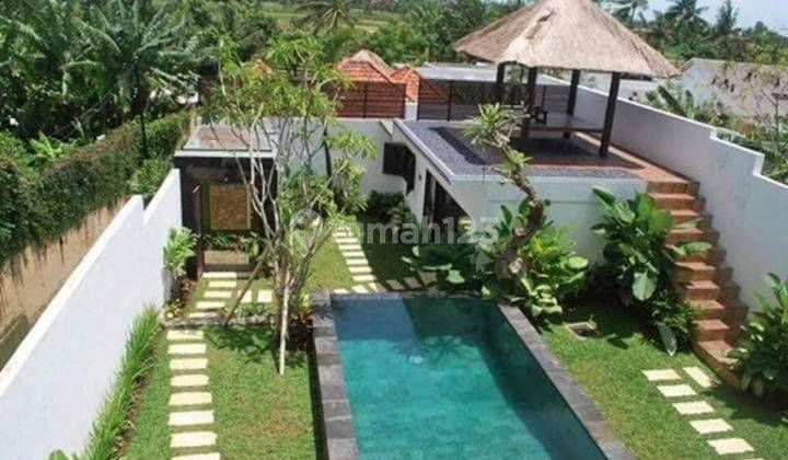 Beautiful big garden villa Canggu Badung Bali Indonesia  2