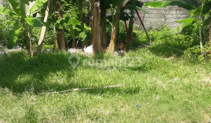 Jual Tanah Jln Akasia Hayam Wuruk Denpasar Bali Indonesia