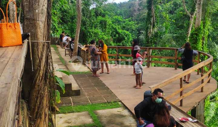 Jual Tanah View Jugle Sangeh Badung Bali Indonesia