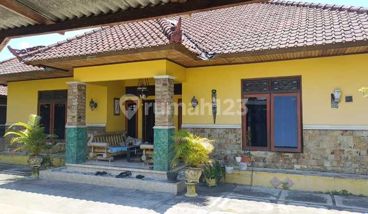 Jual Tanah Bonus Rumah Masih Bagus Panjer Denpasar Bali Jual Tanah Bonus Rumah Masih Bagus Panjer Denpasar Bali