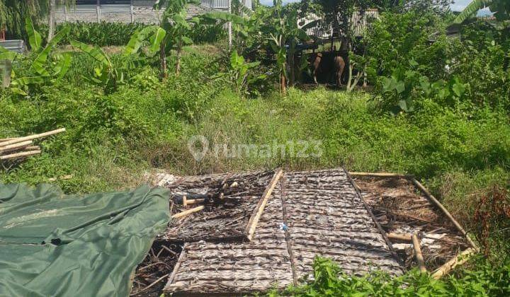 Jual Tanah Jln Pesanggaran Pedungan Densel Bali 2