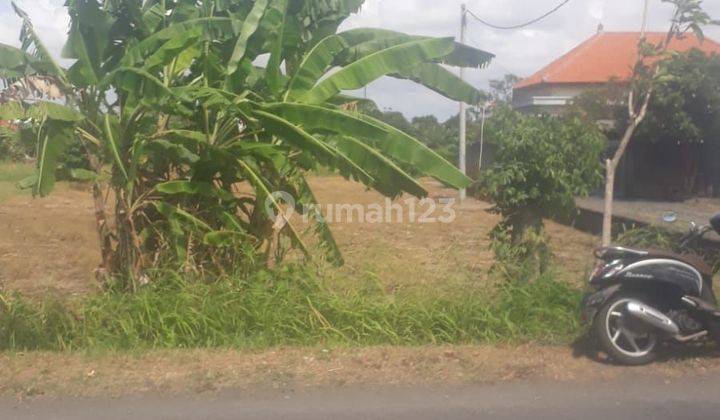 Sewa Tanah Jangka Panjang Jln Utama Waribang Kesiman Denpasar Timur Bali Indonesia  1