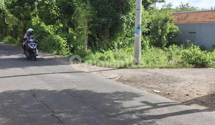 Tanah Untuk Disewa Jalan Utama Pura Masuka Ungasan Bali Indonesia