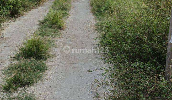 Sewa Tanah Jangka Panjang 20 Tahun Pedungan Denpasar Selatan Bali Indonesia  1