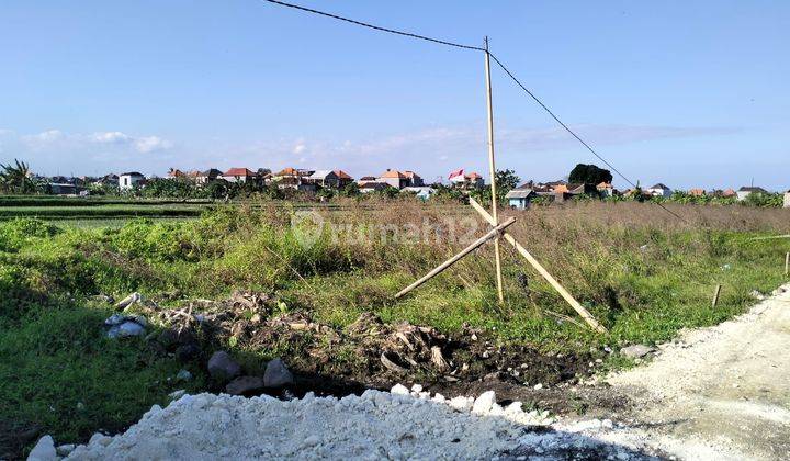 Sewa Tanah Luasan Kecil Penatih Denpasar Timur Bali Indonesia  2