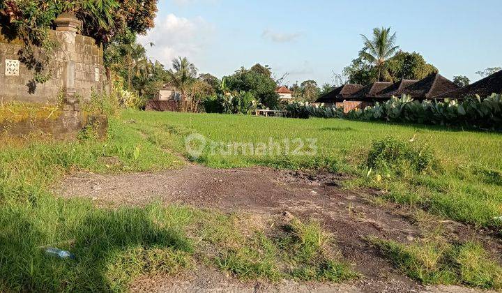 Sewa Tanah Jangka Panjang 25 Tahun Tegalalang Ubud Bali 2