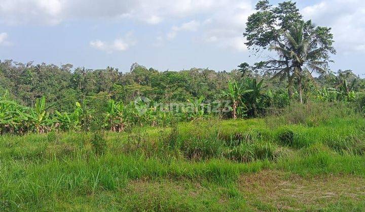 Sewa Tanah Jangka Panjang Tegalalang Ubud Gianyar Bali Indonesia  2