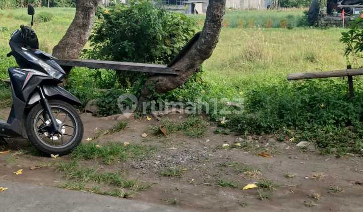 Long Term Land Lease in Renon, Denpasar, Bali, Indonesia Long Term Land Lease in Renon, Denpasar, Bali, Indonesia