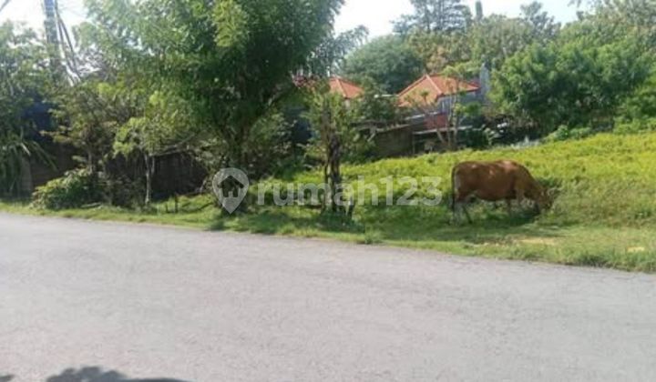 Land for Sale on Jl Gunung Payung, Nusa Dua, Bali