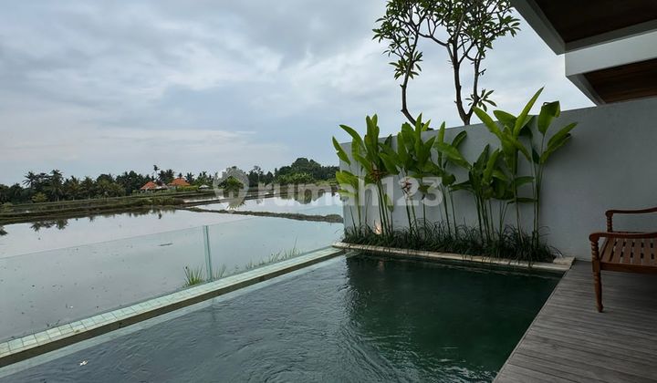 Villa View Sawah Singakerta Ubud Gianyar Bali Indonesia