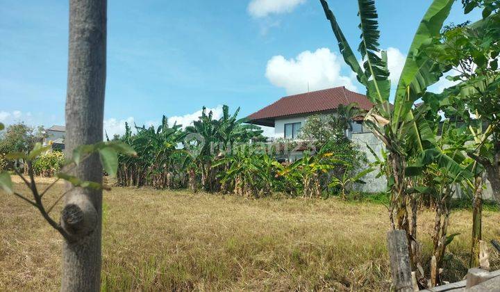 Plot of land for sale Jln Sekarsari Kesiman Denpasar Bali Indonesia  2