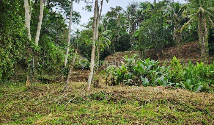 Land for Sale with Rice Field and Forest View Ubud Gianyar Bali Indonesia 2