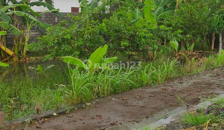 Tanah Sewa Jangka Panjang Jln Sedap Malam Dekat Sanur 2