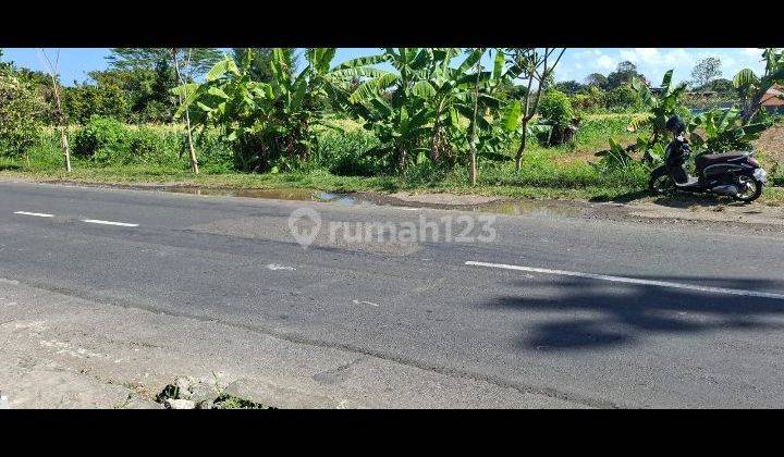 Sewa Tanah Jangka Panjang 25 Tahun Jln Induk Waribang Kesiman Denpasar Bali  1