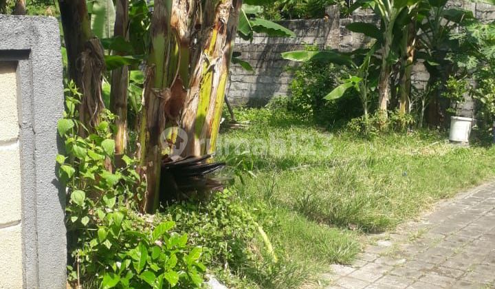 Jual Tanah Jln Akasia Hayam Wuruk Denpasar Bali Indonesia