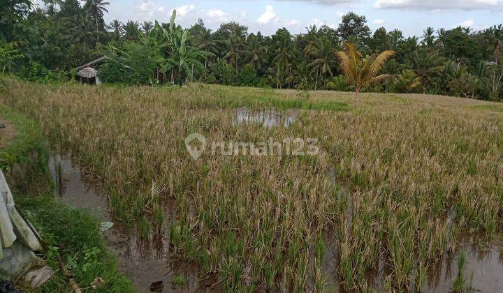 Sewa Tanah Jangka Panjang Ubud Gianyar Bali Indonesia  2