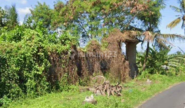 Land for Sale on Main Street Pering Blahbatu Gianyar Bali Indonesia 2