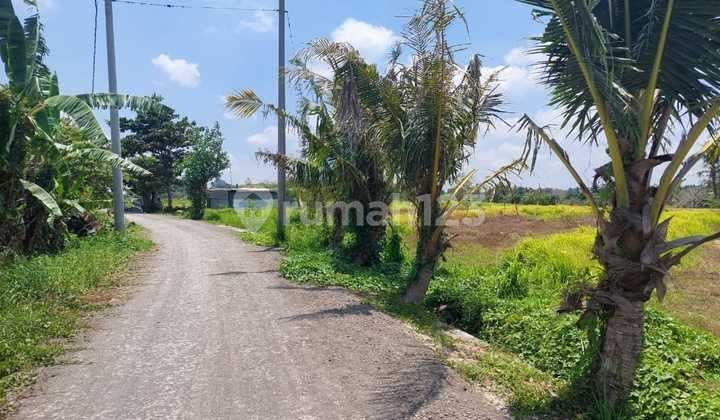 Jual Tanah Jalan Kaki Ke Pantai Kedungu Tabanan Bali Indonesia