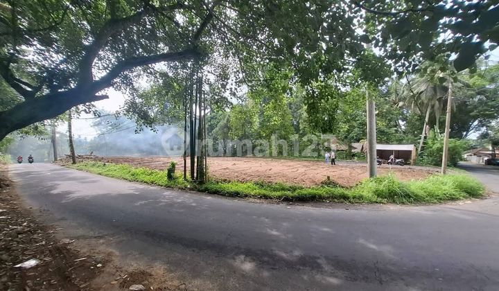 Jual Tanah View Hutan Kedewataan Ubud Bali Indonesia Jual Tanah View Hutan Kedewataan Ubud Bali Indonesia