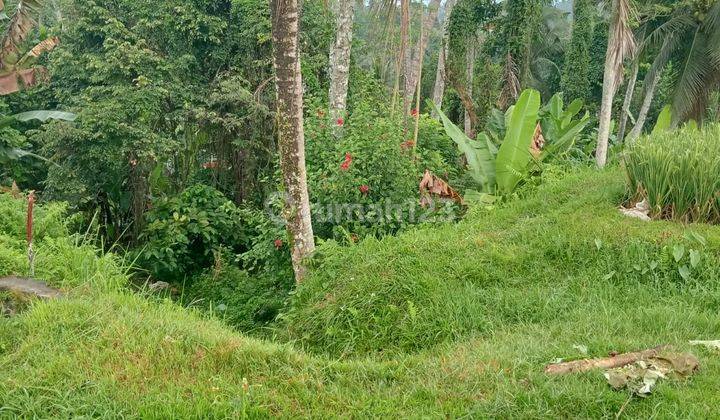 Sewa Tanah Jangka Panjang 25 Tahun Ubud Gianyar Bali 1