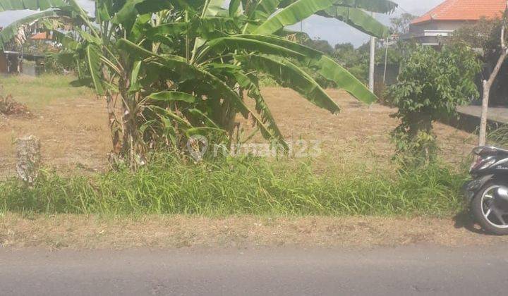 Sewa Tanah Jangka Panjang Jln Utama Waribang Kesiman Denpasar Timur Bali Indonesia  2