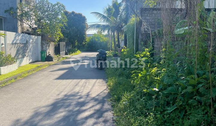 Long-term Land Rental in the Elite Environment of Renon