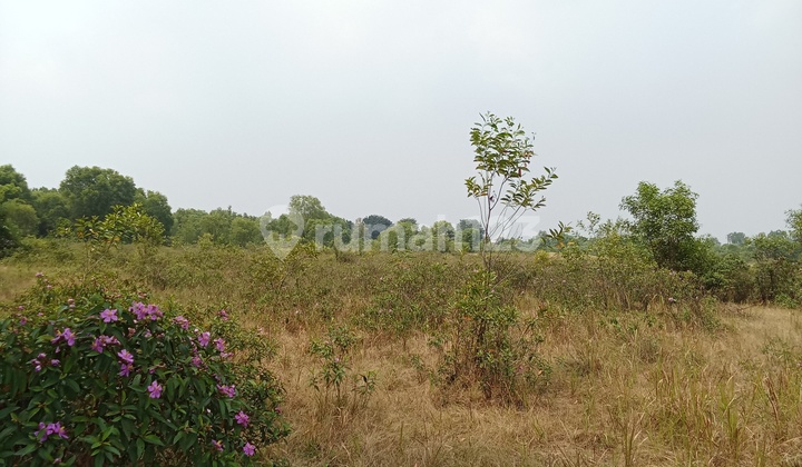 For Sale Industrial Land in Pancatama Area Cikande - Banten