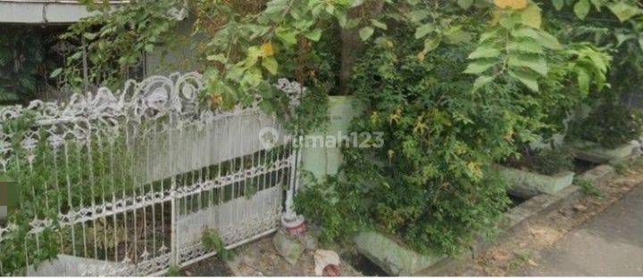 Dijual Rumah Tua Di Gelong Baru Tomang 1