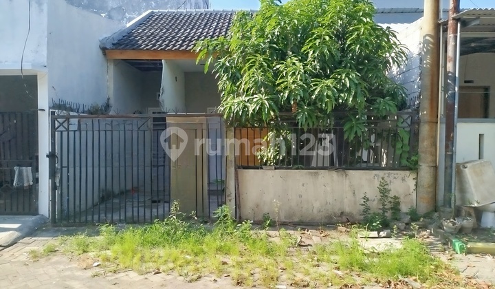 Supeerr Murah, Rumah 500 Juta Di Gununganyar