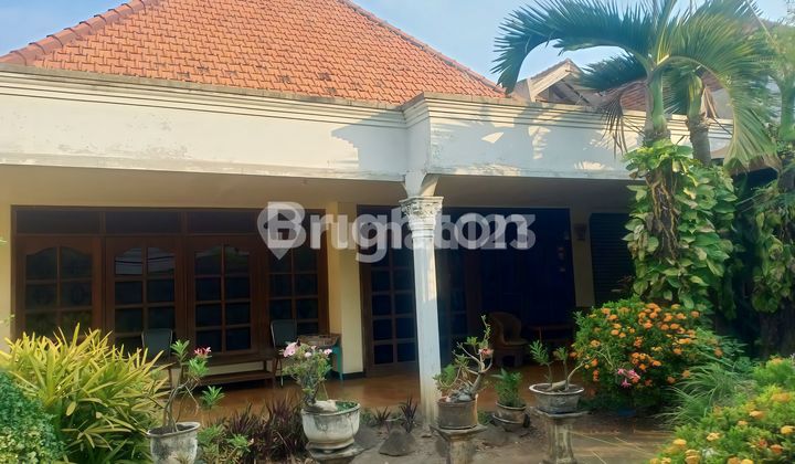 Spacious Well-Maintained House in Commercial Area on Kutai Street 2