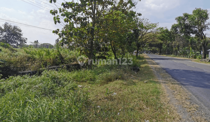 Tanah Strategis Ngawi di Jl.Raya Nasional Maospati Ngawi