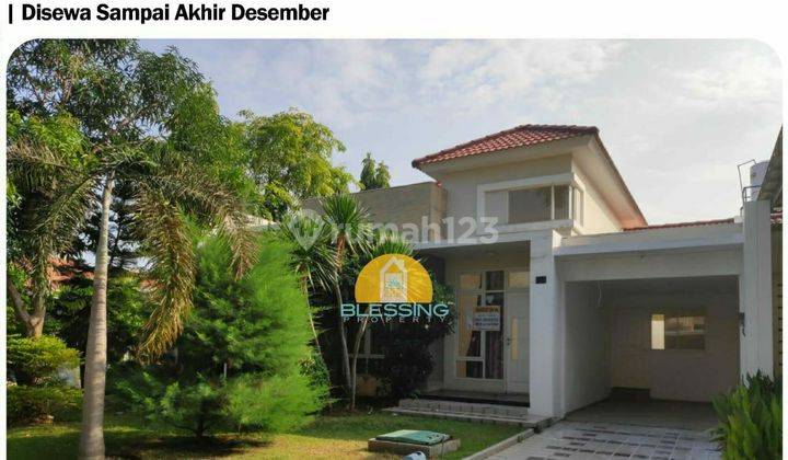 Rumah Modern Minimalis Di ALAMANDA RAYA. GRAHA PADMA 1