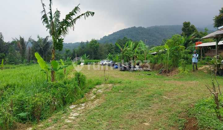 Tanah 1,6 Hektar di Wanayasa, Purwakarta Cocok untuk Vila atau Agrowisata