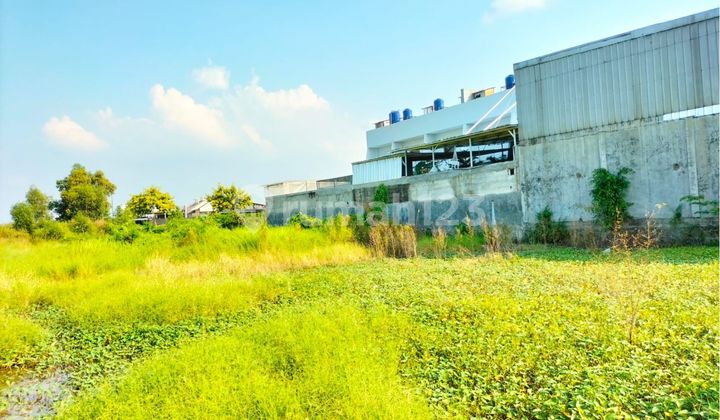 DIJUAL CEPAT: Tanah 325 m² di Sukaharja, Teluk Jambe Timur, Karawang DIJUAL CEPAT: Tanah 325 m² di Sukaharja, Teluk Jambe Timur, Karawang