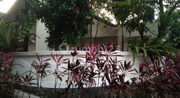 Cool Hook House Wide Yard with 2 Toll Access in Bogor 2