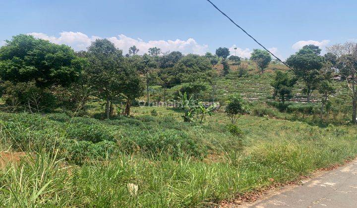 Tanah Persegi Lahan Siap Garap Lokasi Strategis Di Cianjur 1