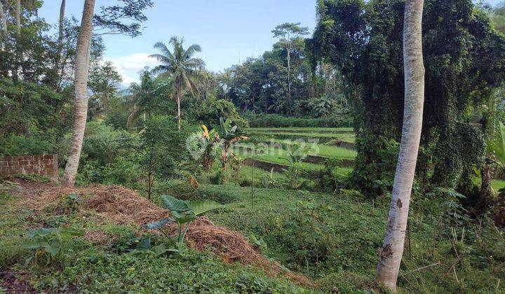 Dijual Cepat Tanah Dengan Pemandangan Gunung Dan Sawahdi Magelang 2