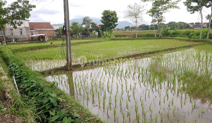 Dijual Cepat Tanah Untuk Gudang Di Jl Raya Cicalengka Bandung 2