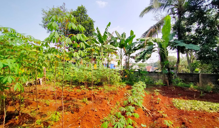 Tanah Kosong Siap Garap Di Cileungsi, SHM, 5819 M2 2