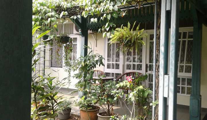 Dijual Rumah Asri Di Bintaro Jaya Sektor 3  2