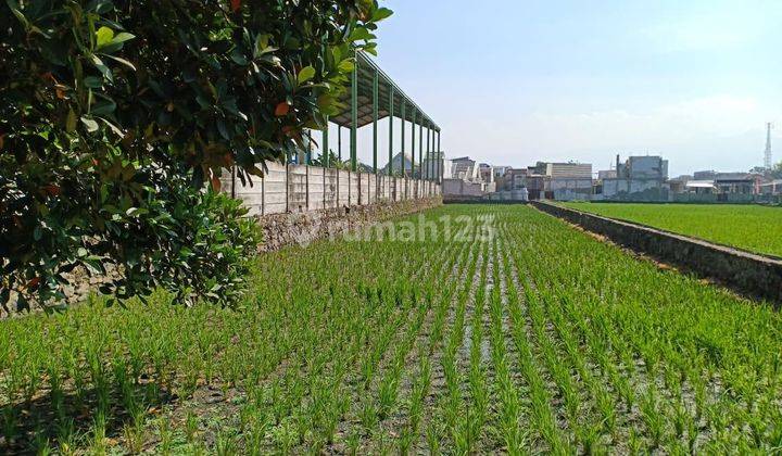 Dijual Tanah Sawah Mainroad Bandung Timur  1