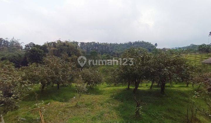 TANAH PINGGIR JALAN RAYA NONGKOJAJAR MALANG PALING MURAH COCOK UNTUK INVESTASI PENGINAPAN DEKAT DENGAN KAKI GUNUNG BROMO 2