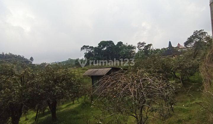 TANAH PINGGIR JALAN RAYA NONGKOJAJAR MALANG PALING MURAH COCOK UNTUK INVESTASI PENGINAPAN DEKAT DENGAN KAKI GUNUNG BROMO 4