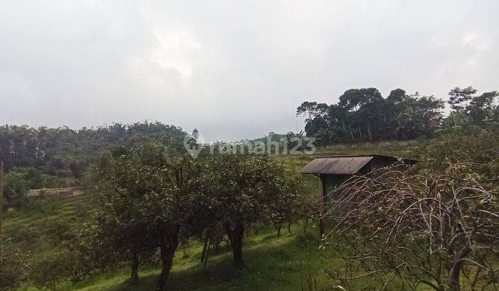 TANAH PINGGIR JALAN RAYA NONGKOJAJAR MALANG PALING MURAH COCOK UNTUK INVESTASI PENGINAPAN DEKAT DENGAN KAKI GUNUNG BROMO 5