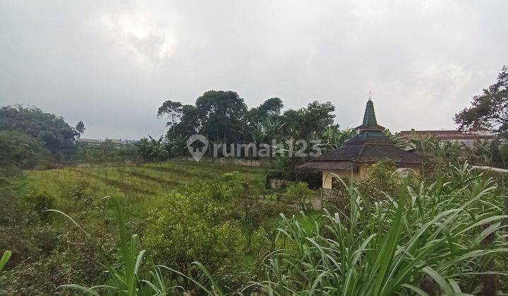 TANAH PINGGIR JALAN RAYA NONGKOJAJAR MALANG PALING MURAH COCOK UNTUK INVESTASI PENGINAPAN DEKAT DENGAN KAKI GUNUNG BROMO 6