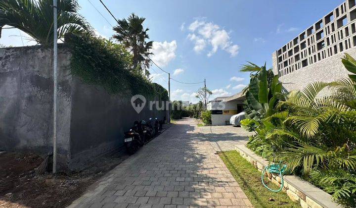 Tanah Kavling jalan kaki Ke Pantai Batu Bolong Canggu DiJual 2