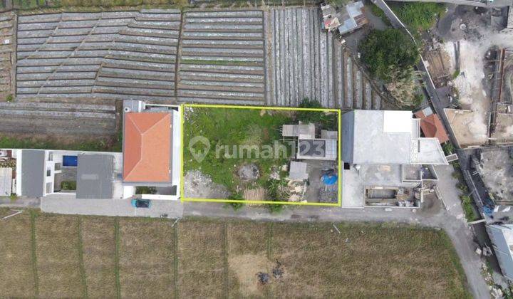 Tanah di Raya Kedampang Langka view Sawah Dijual Murah 2