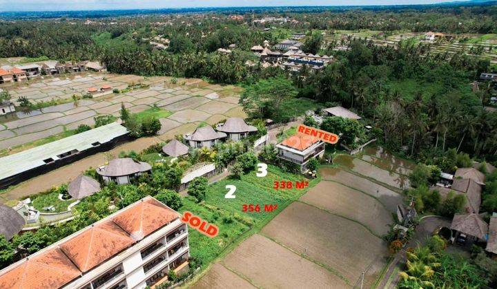 Tanah KAVLING Ubud Dekat Villa Dan Pemandangan Sawah DIJUAL 2