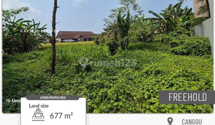 Land With Rice Field iew In Babakan Canggu For Sale 1